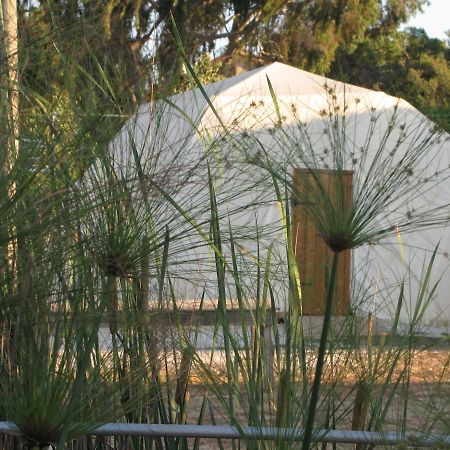 Yarok Az - Ecolodge Farm Ilaniya Habitación foto